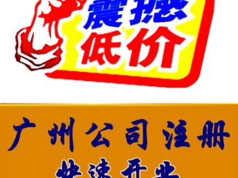深圳工商注册与代理记账全攻略 一般纳税人与小规模公司指南